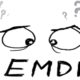 EMDR Terapisi nin uygulandığı başlıca sorunlar